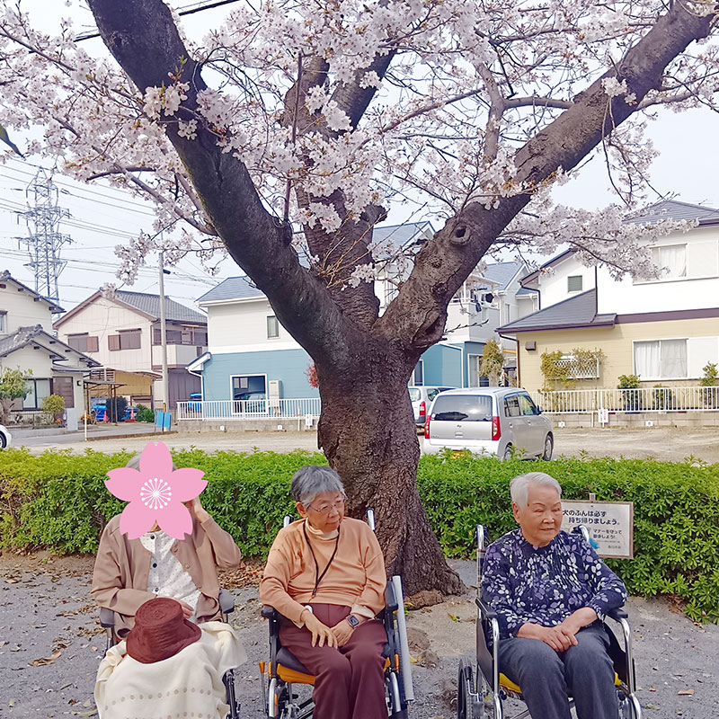 桜の木の下で記念撮影